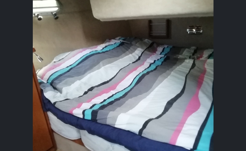 Bayliner 3288-kuva-9